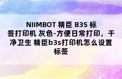 NIIMBOT 精臣 B3S 标签打印机 灰色-方便日常打印，干净卫生 精臣b3s打印机怎么设置标签